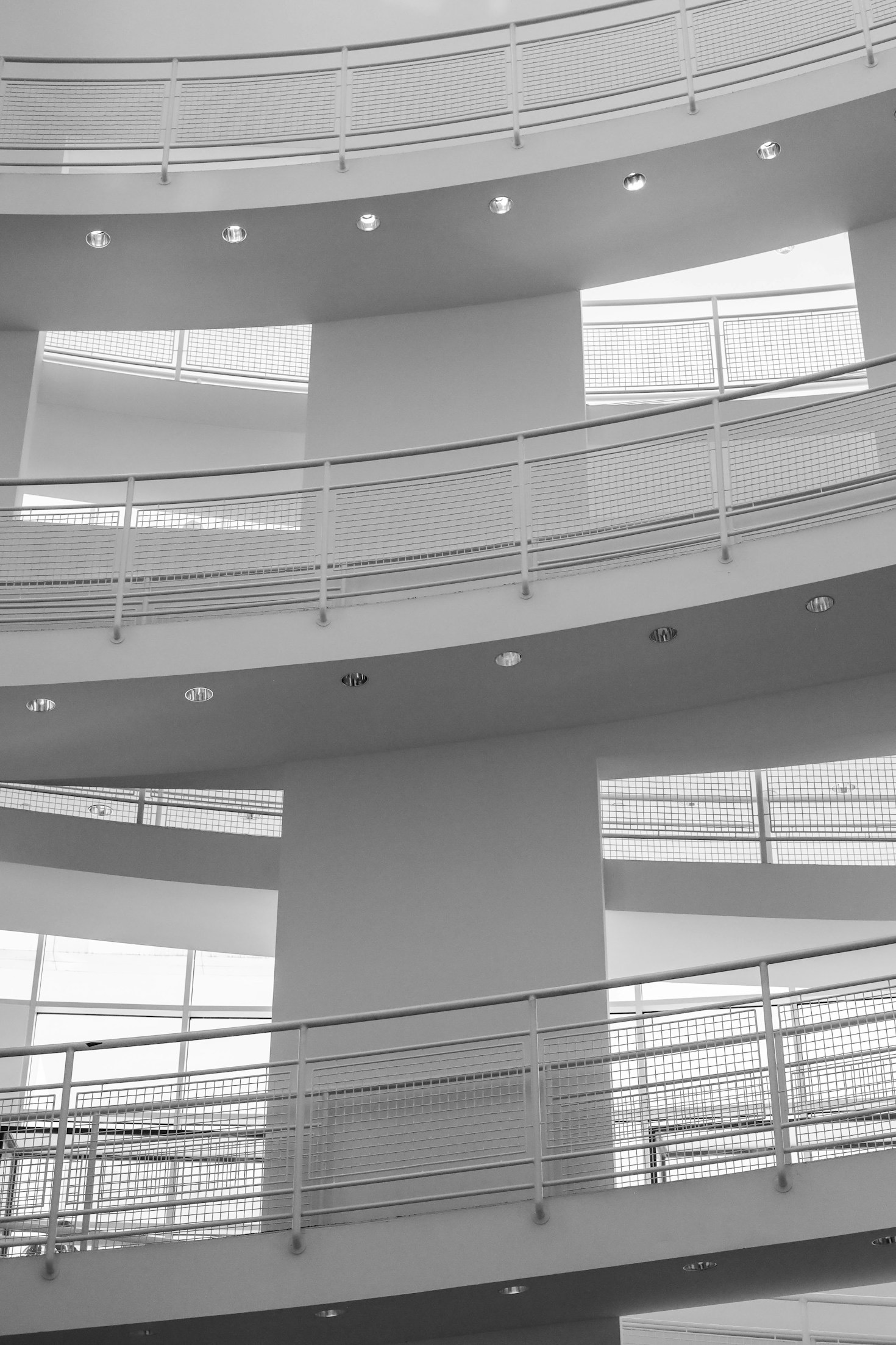 The Monochrome Revolution: Art in Black and White